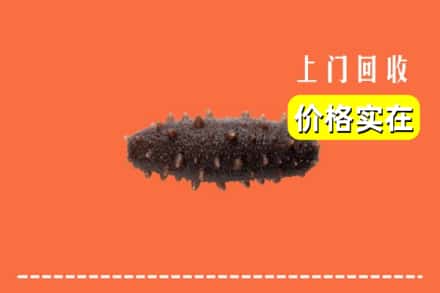诚信求购:哈尔滨方正高价回收海参